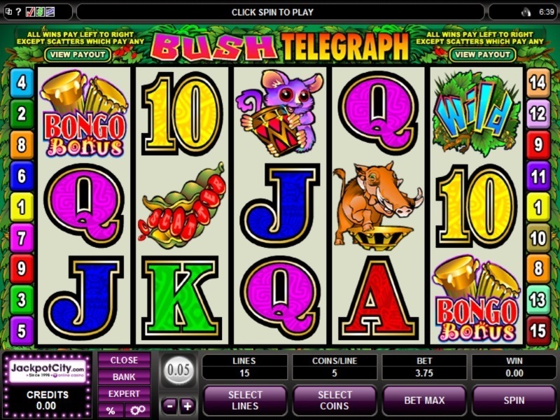 The Future Of online slots
